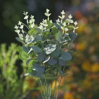 Artificial Eucalyptus Bunch