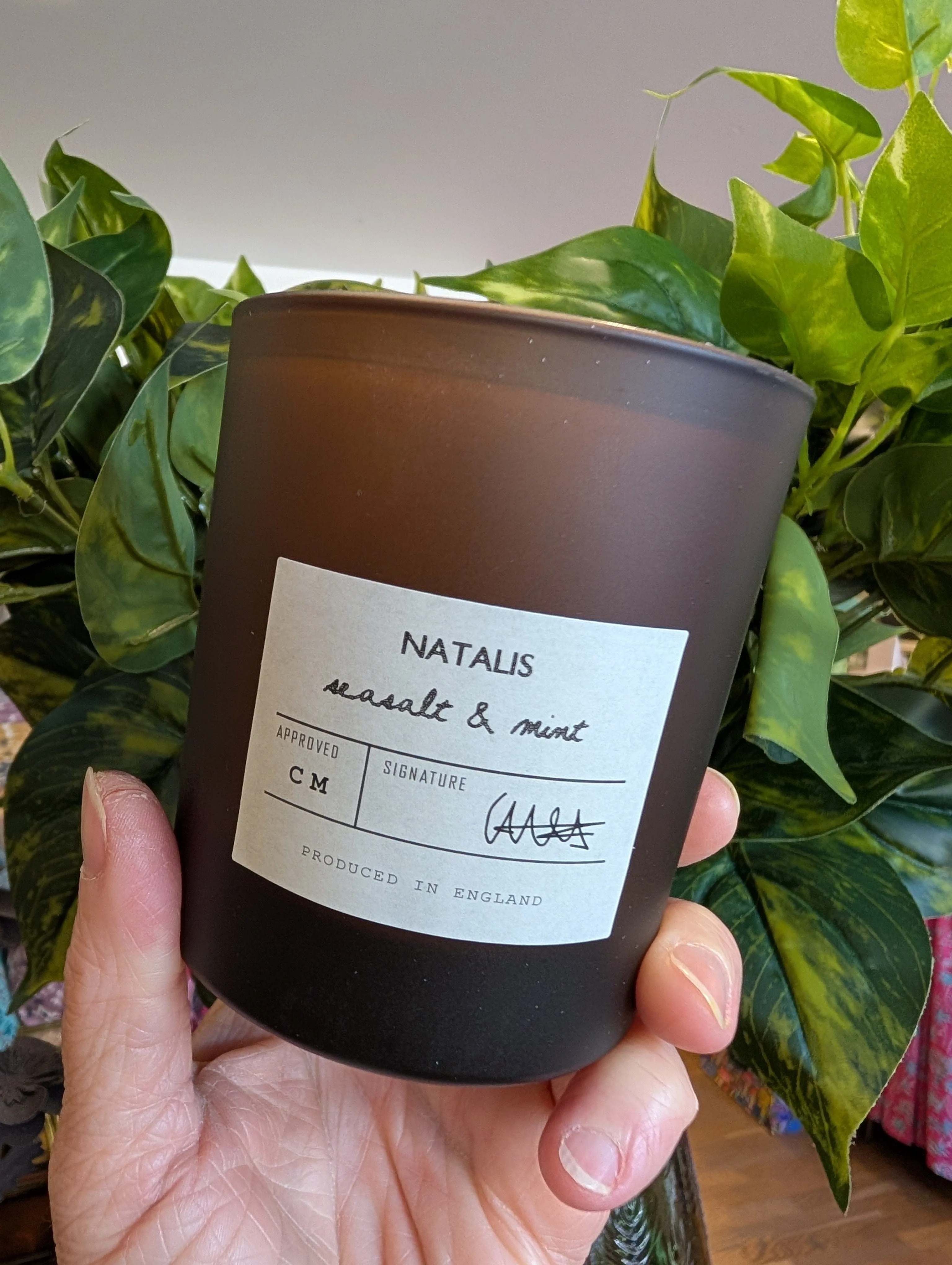 Illumens Authentic Philosophy Seasalt & Mint Scented Candle - Natalis