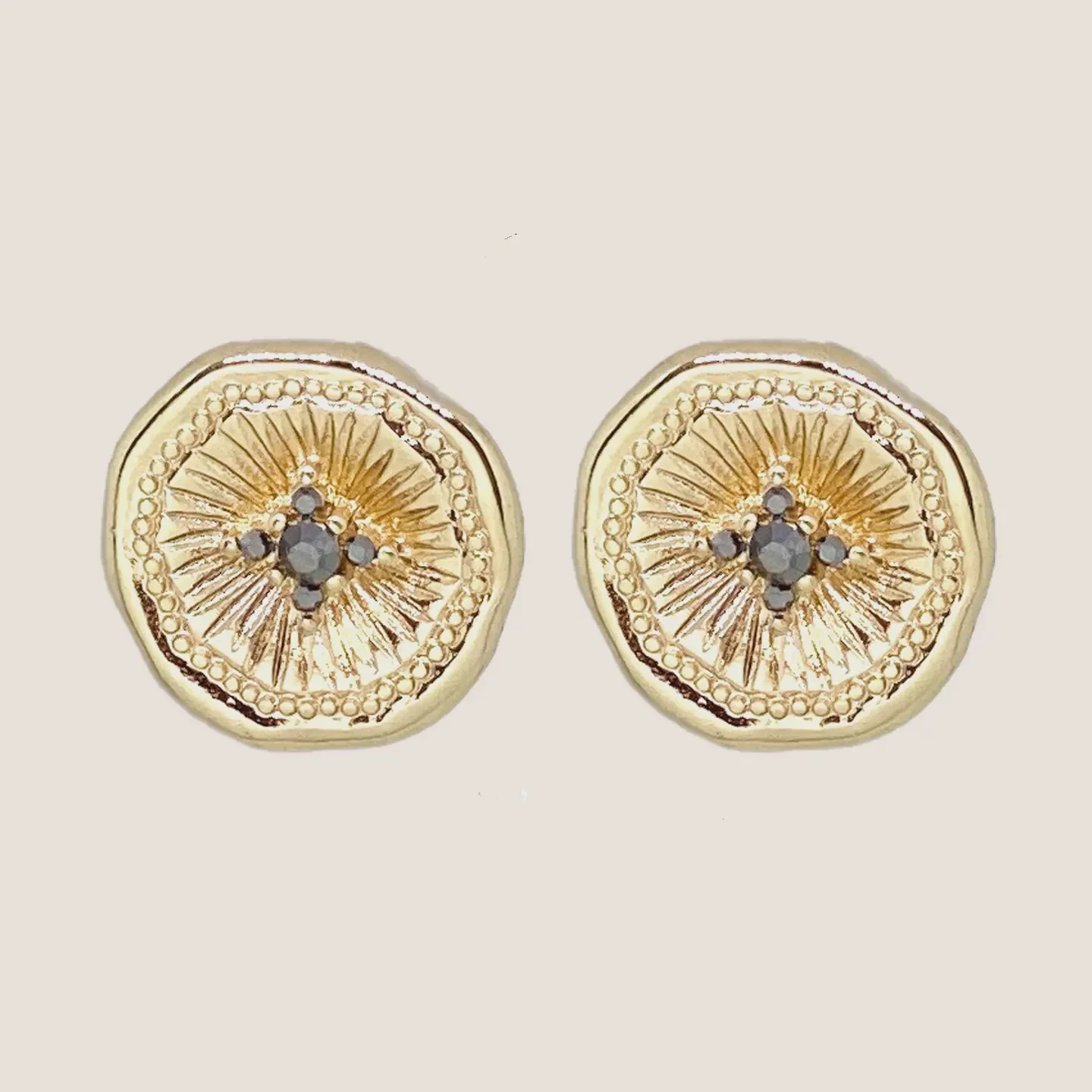 Longchamps Earrings